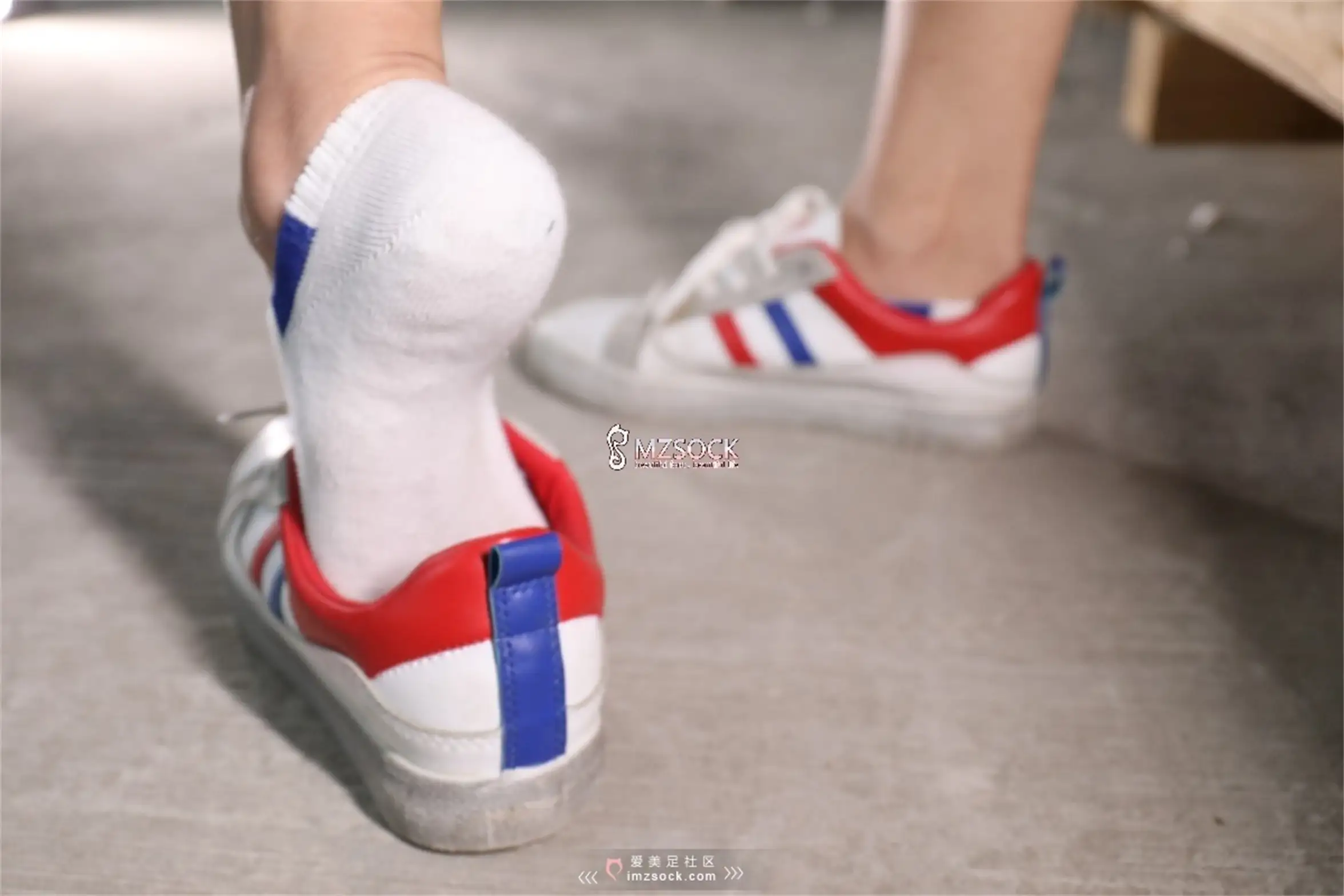 [Mzsock] Love Beauty Foot NO.066 Ding#[74P]-19