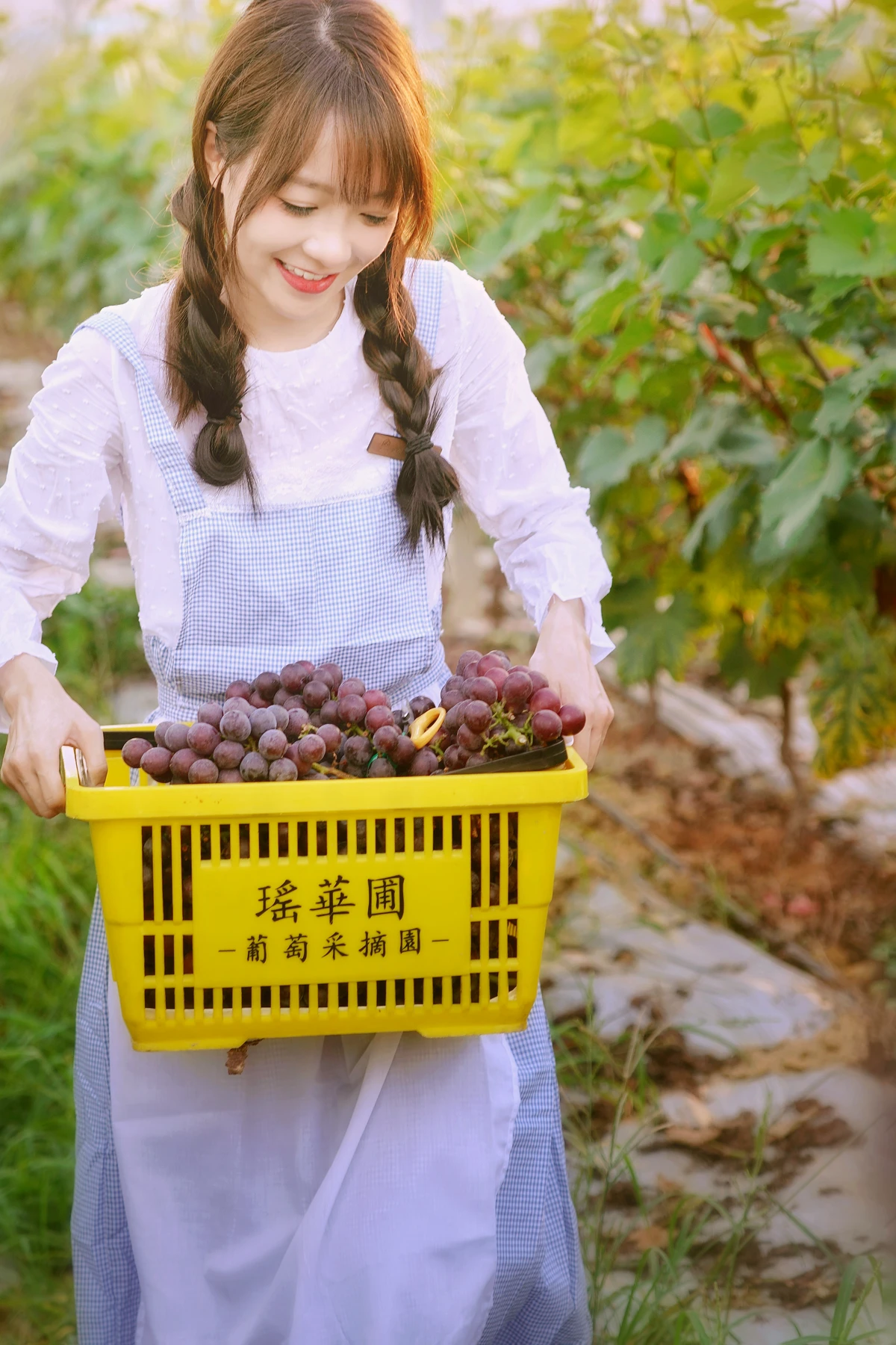 [YITUYU] 2023.02.04 Vol.2969 The joy of harvest in the vineyard duck duck#[24P]-10